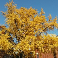 두남매맘 : 네이버 블로그