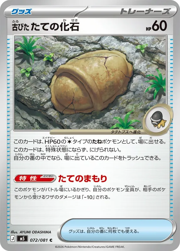 古びたたての化石