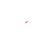 G2