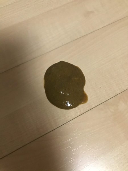 보호소에서 데려온 새끼 강아지(2개월) 입니다.\n데려온지 3일 넘었는데요.\n처음 데려올 때는 완전한 설사였는데..\n좀 지나니까 변이 좀 형태가 생겨서 스트레스였었나보다 했어요..\n근데 오늘 점심까지도 변이 나름 괜찮았는데..\n오늘 저녁 10시 반 경에 본 변은 완전 설사네요ㅠㅠ\n병원 가봐야겠죠?...\n1번 사진이 오늘 오후, 2번 사진이 오늘 저녁, 3번이 오늘 밤 10시 반 변이예요ㅠㅠㅠ