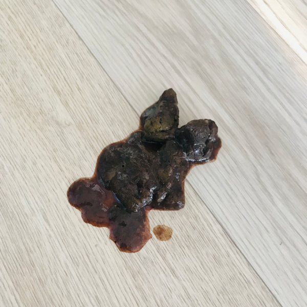 안녕하세요, 강아지가 갑자기 구토와 설사를 해서요ㅜㅜ\n새벽에 토한 건 약간 주황색이었구요 오늘 아침에 설사를 연달아 하는데 살짝 붉은 기가 보이는 것 같아서요.. 혹시 혈변인가요?ㅠㅠ \n\n*변사진 첨부합니다!!!! \n