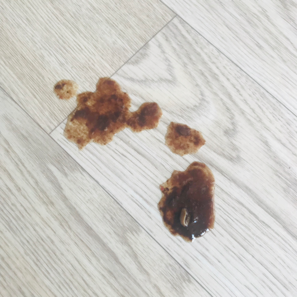 안녕하세요, 강아지가 갑자기 구토와 설사를 해서요ㅜㅜ\n새벽에 토한 건 약간 주황색이었구요 오늘 아침에 설사를 연달아 하는데 살짝 붉은 기가 보이는 것 같아서요.. 혹시 혈변인가요?ㅠㅠ \n\n*변사진 첨부합니다!!!! \n