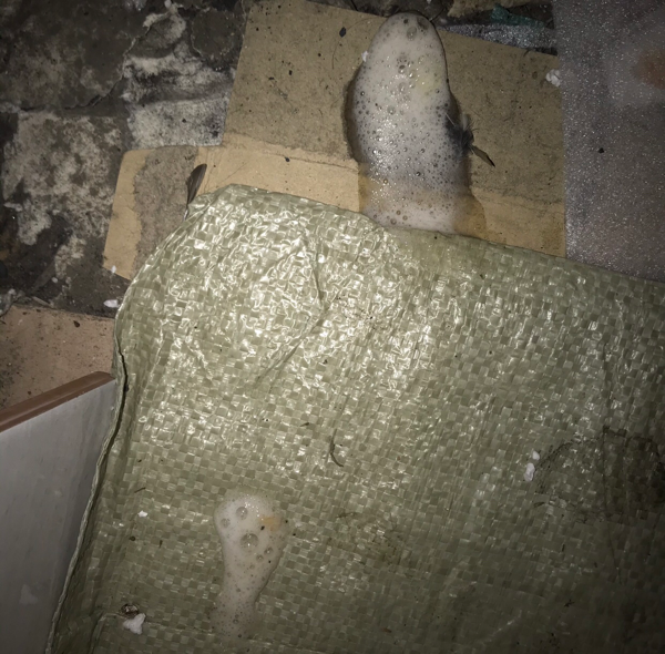 오며가며 지하실에서 밥주고있는 길냥이라 신상정보가 정확치않습니다 \n13일 월요일낮에 기생충과함께 거품토를 했습니다 고양이 상태를 자세히보려고 하니 도망가고는 다음날 14일날 다시 나타나서 길냥이집에 아무것도 안먹고 잠만잤습니다 그날저녁에 동물약국에서 구충제사서 설탕물에타서 조금먹였더니 다시 구역질과 거품토를 했습니다 그리고 아무것도 안먹었습니다 오늘 15일 낮에 다시 구충약과 설탕물섞여 억지로 좀 떠먹이고는 계속 식욕부진으로 아무것도 안먹습니다 토는 안하고있구요 눈풀린상태고 쉬는건지 집에서 잠만자고있습니다 좋아하는 캔, 츄르도 입에도 안댑니다 이대로 그냥 두면 괜찮아지나요? 3일째 아무것도 안먹으니 뭘해줘야할지 모르겠습니다 도움주시면 감사하겠습니다
