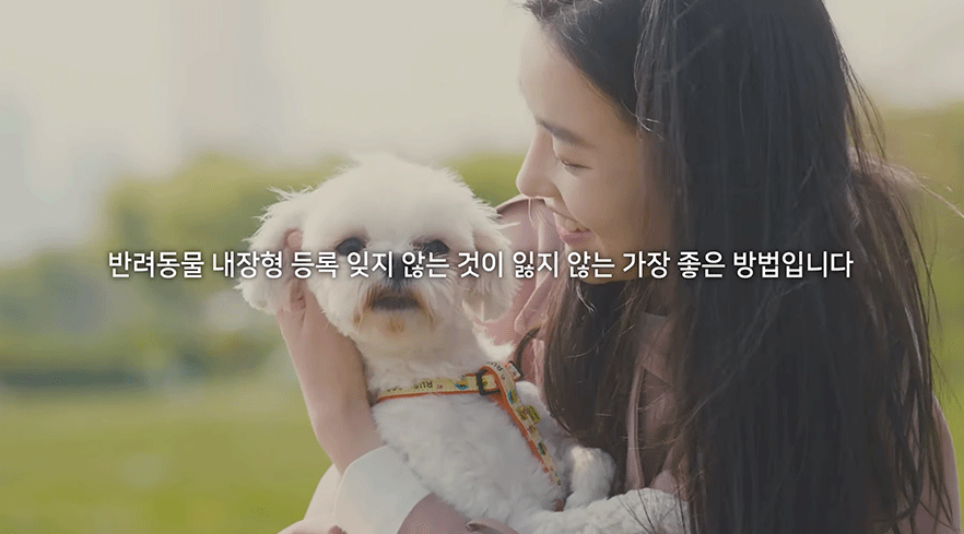 내장형 마이크로칩 등록을 잊지 마세요