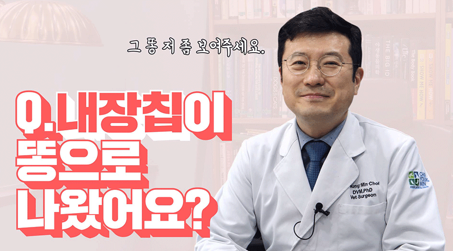 동물등록 내장형 마이크로칩에 대한 오해와 진실