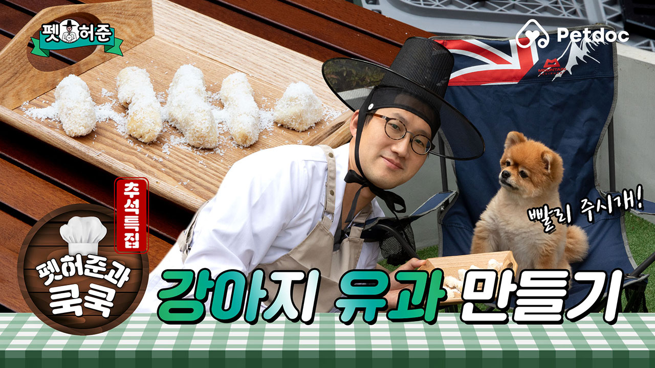 강아지한테 이런걸 먹이면 아니되오.. 강아지 유과 만들기|펫허준 ep.49