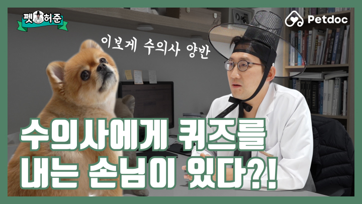 수의사 양반… 우리 댕이가 어디가 아픈지 맞춰 보시오. I 펫허준 ep.5