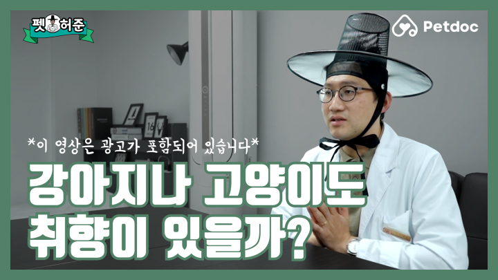 강아지나 고양이도 취향이 있을까? I 펫허준 ep.34
