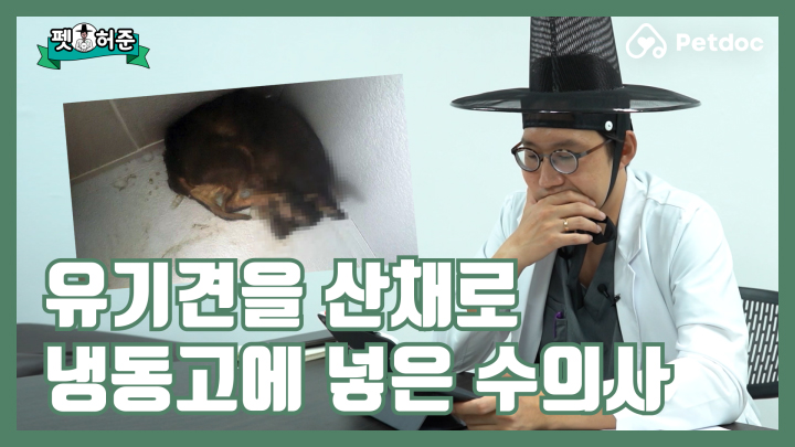 열사병에 걸린 유기견을 산채로 냉동고에 넣어 죽인 수의사... I 펫허준 ep.45