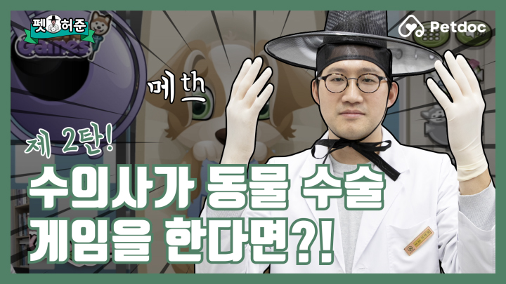 제2탄! 수의사 경력 10년 차… 이런 수술은 처음이오… I 펫허준 ep.7