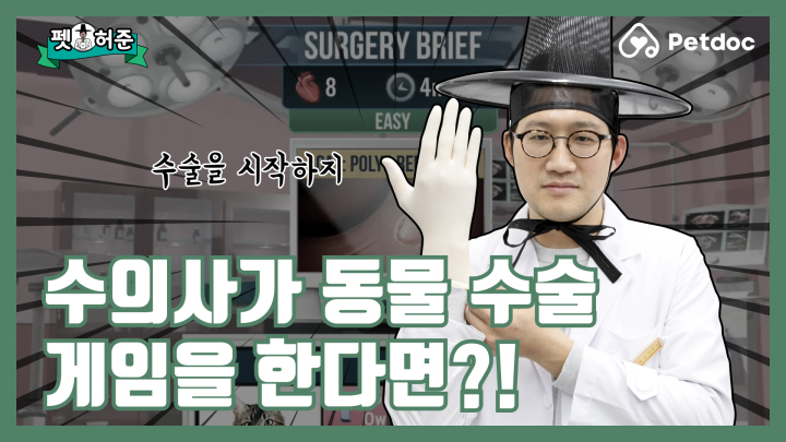 수의사 경력 10년 차… 이런 수술은 처음이오… I 펫허준 ep.6