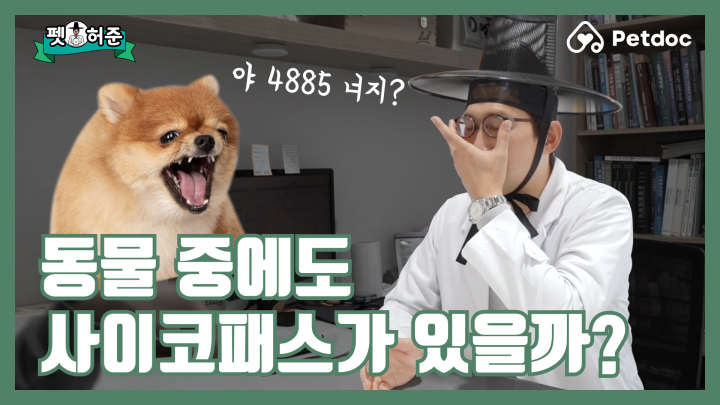 동물 중에도 사이코패스가 정녕 있소? I 펫허준 ep.8 조회수 70회•2020. 4. 2.