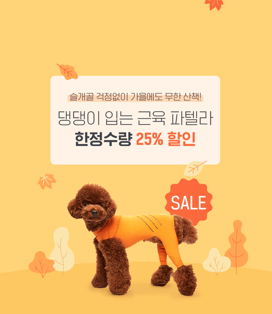 슬개골 보호 의류 파텔라