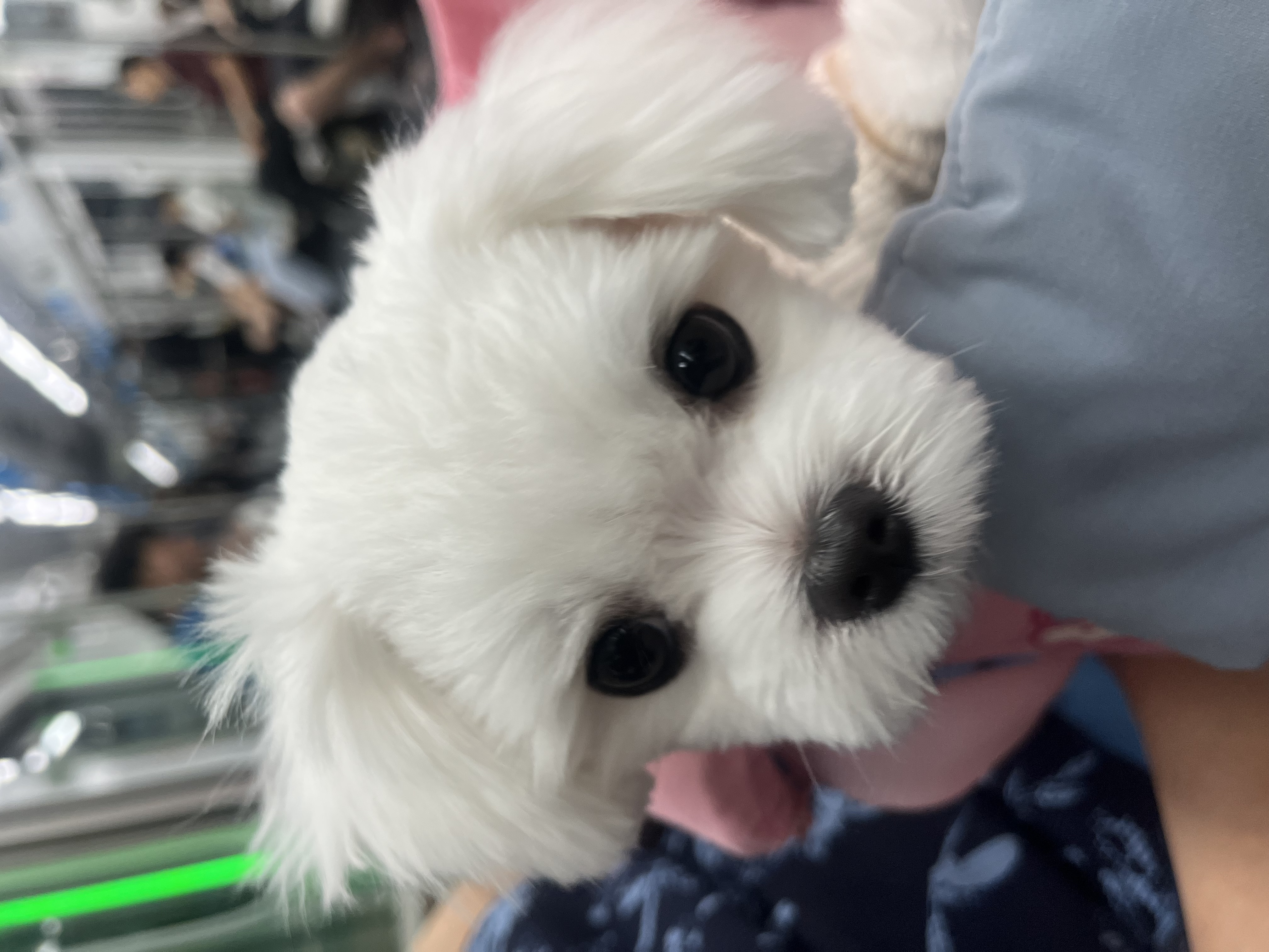Host profile image