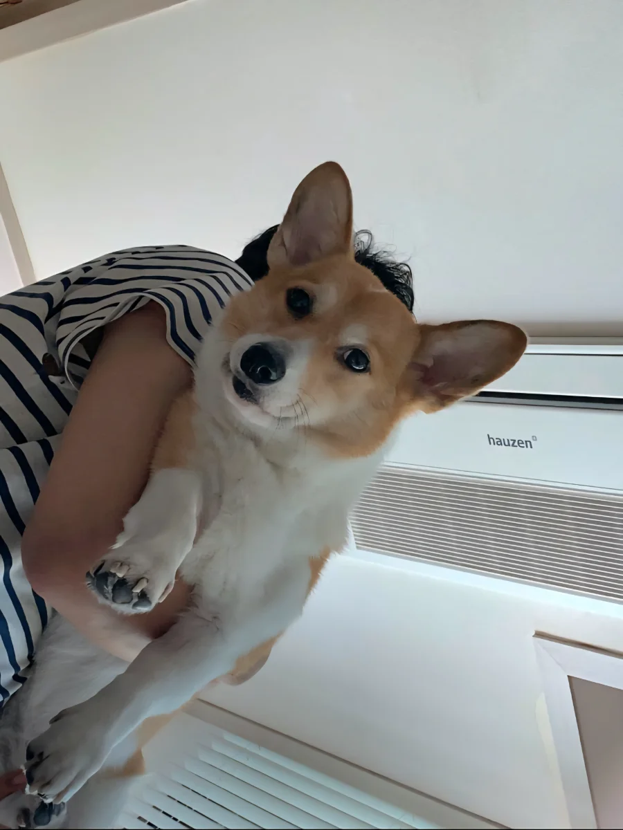 Host profile image