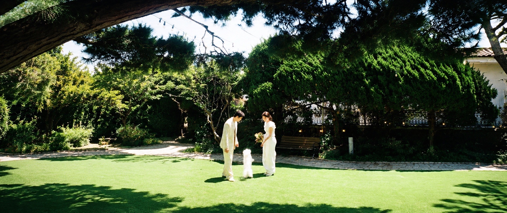 Wedding celebration