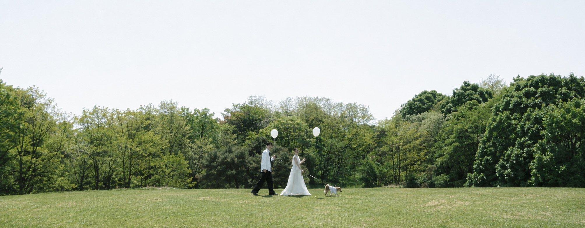 Wedding celebration