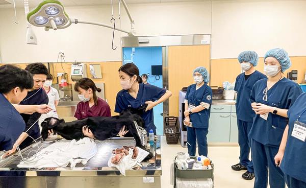 영진전문대 동물보건과, 일본 글로벌 현장학습진로 전문 역량 강화