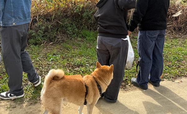 영진전문대 동물보건과, ESG 기반 펫깅 환경봉사 활동