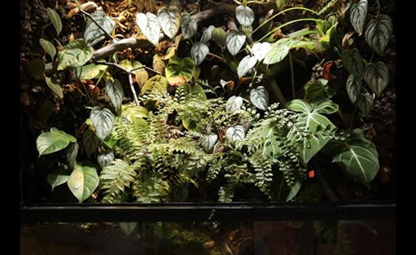 [우리 동네 사람들] ‘구의 정원’ 김윤구 테라리움 작가 