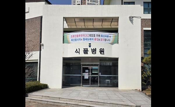 새로움 봄, 배움과 즐거움으로 나를 업그레이드 할 시간! 