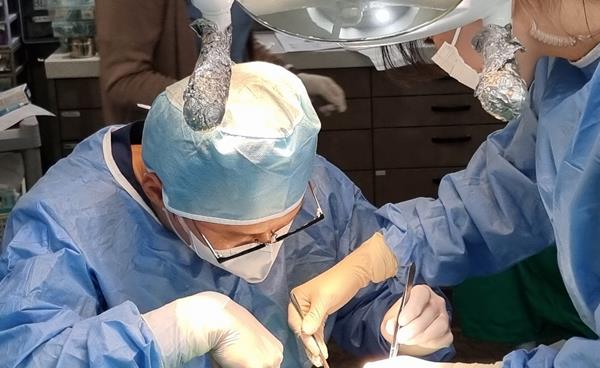 [대구 수성구 시지M치과 칼럼] 65세이상 임플란트 보험적용 조건, 올바른 관리법