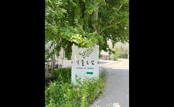 [플레이스] 핸드메이드 감성 카페 콜드브루 전문점 ‘식물도감’