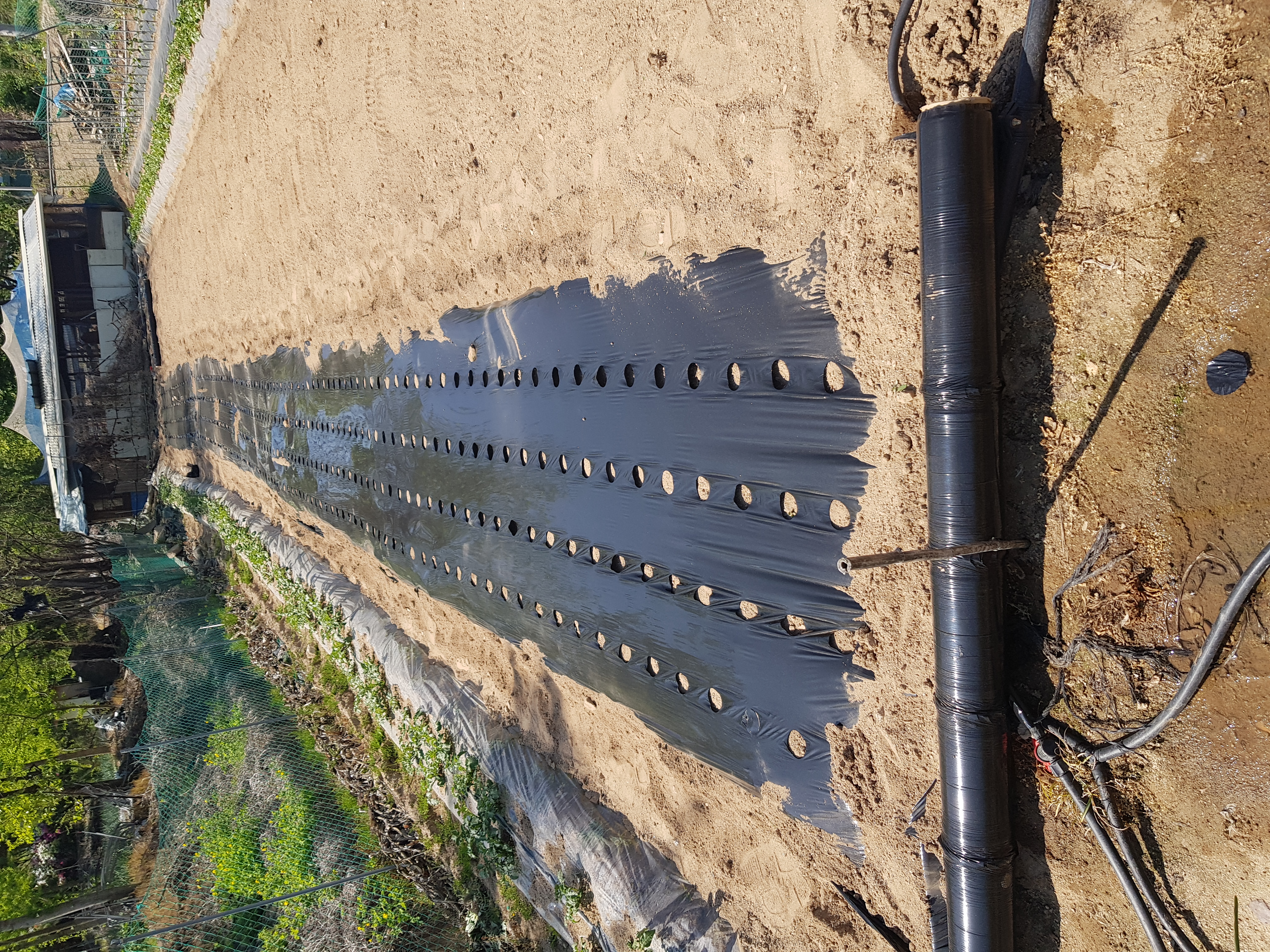 옥이네님의 기타작물 · 영농일지 작성글 사진