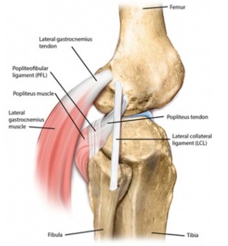 3450b6eb-9815-4967-aa2c-dc81173a8ace