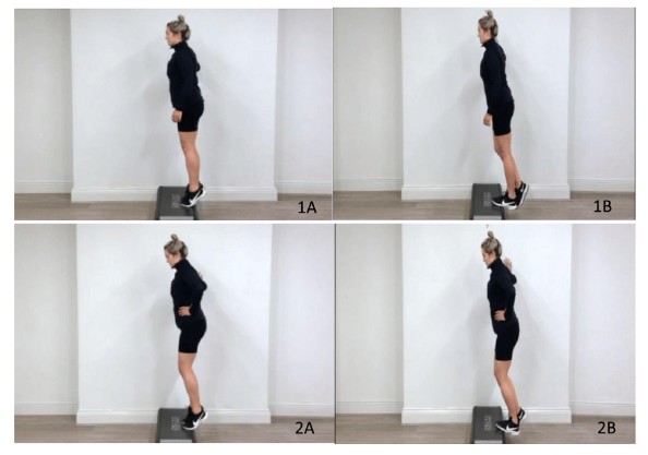 ba54d29d-b767-4f31-b840-b8ae18a0652a