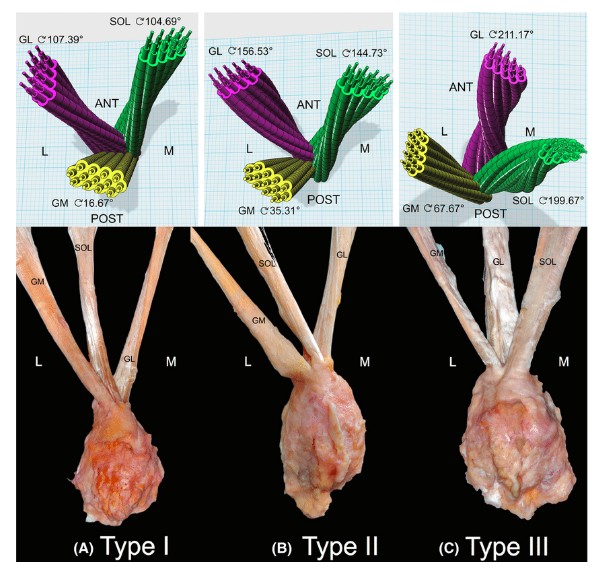 a557bfca-5511-45e7-b351-bbc2838127b5