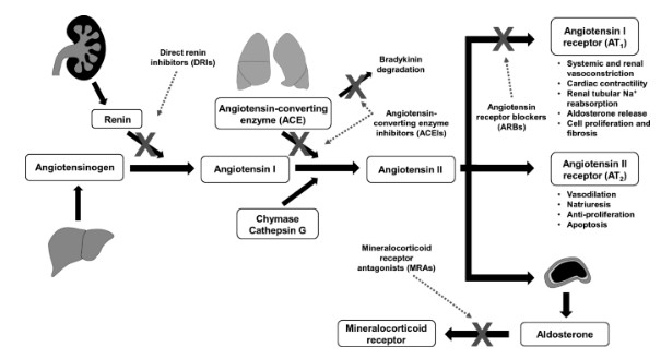 d8822c07-839e-4c15-b69e-4c35e789defa
