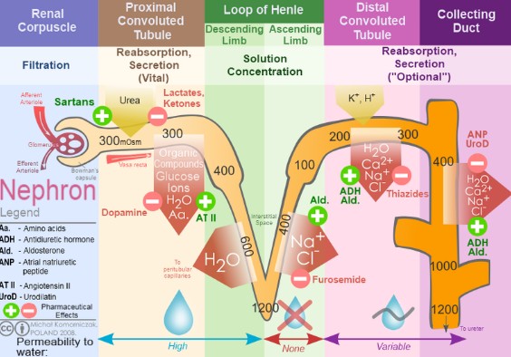 a320b2d1-a31d-41fa-8997-cc0a01bfe3b3