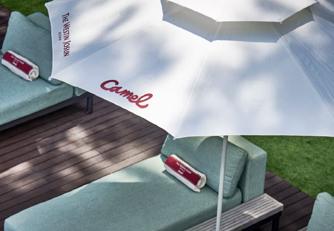 썸넬_Camel Meets Camelia