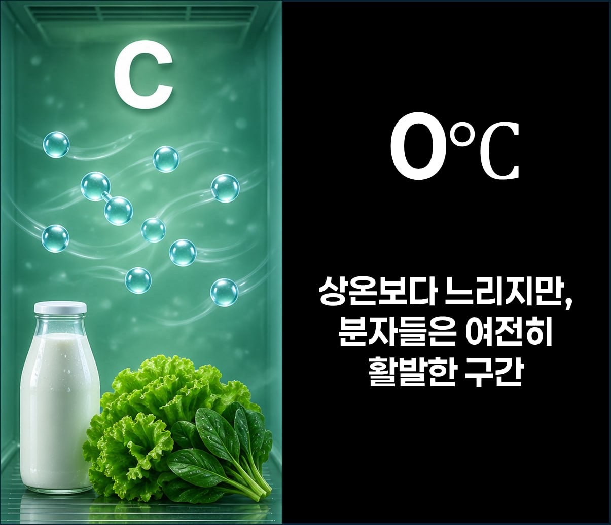 원문 본문 이미지