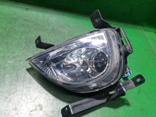 Fog Lamp (left)  Hyundai Veracruz