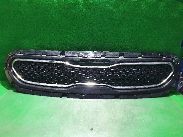 Radiator Grille Kia Niro