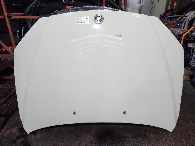 Bonnet  KG MOBILITY (SsangYong) NewKyron