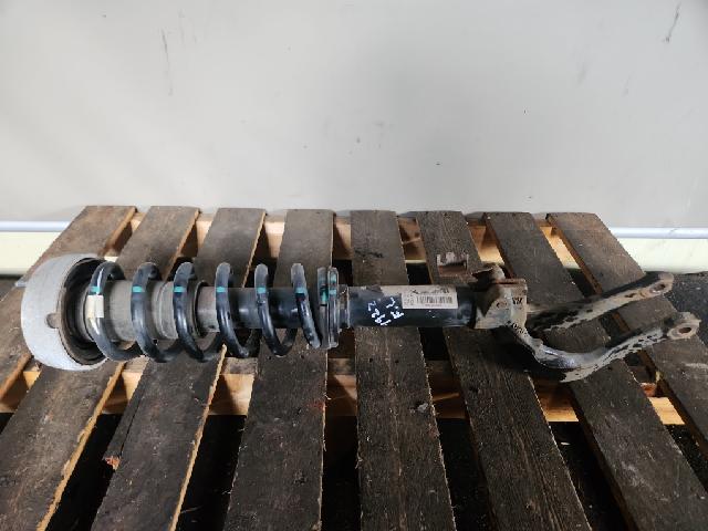 Front Shock Absorber (left)   BMW(BMW) X5(E70)