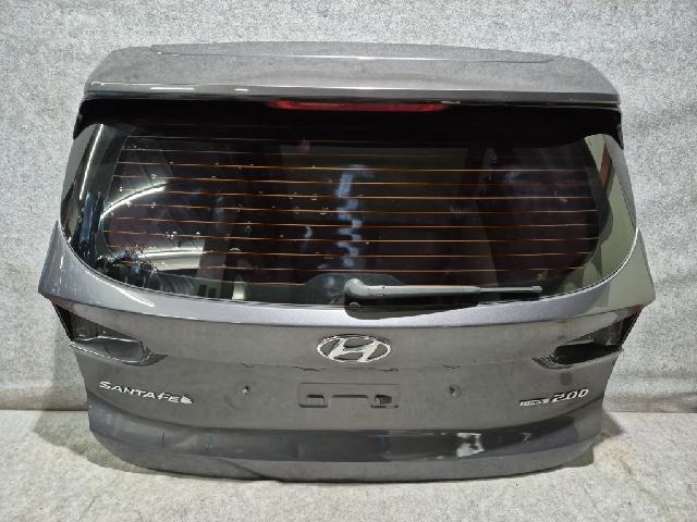 Back Door (lid)  Hyundai Santa Fe(TM)