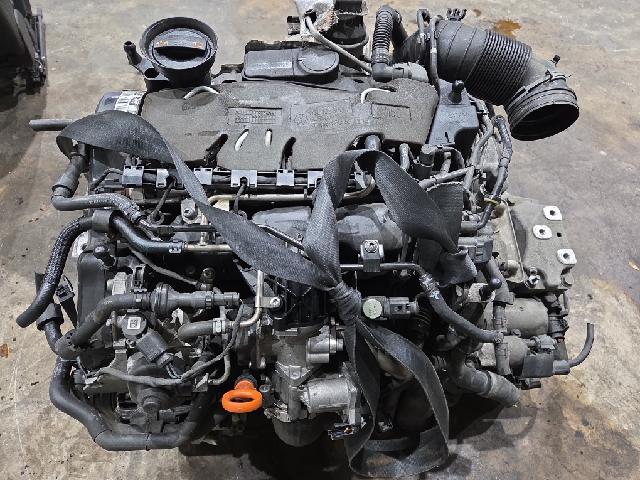 Engine  Volkswagen(Volkwagen) 2.0 TDI