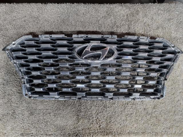 Radiator Grille  Hyundai 펠리세이드