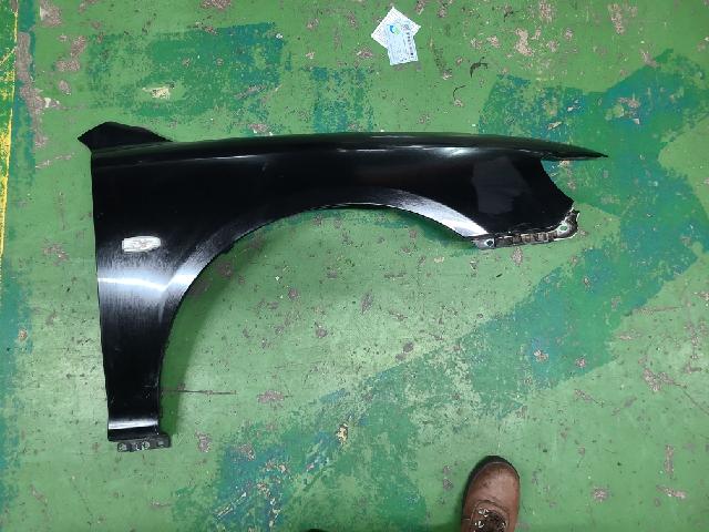 Front Fender (right)  Hyundai Grandeur TG