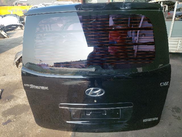 Back Door (lid)  Hyundai Grand Starex