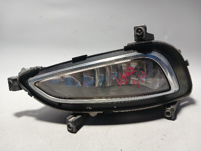 Fog Lamp (left)  Hyundai Grandeur HG