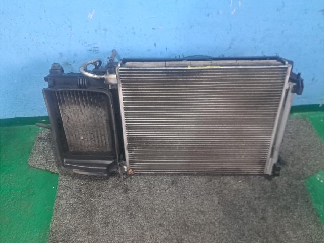Radiator  Renault Samsung SM6