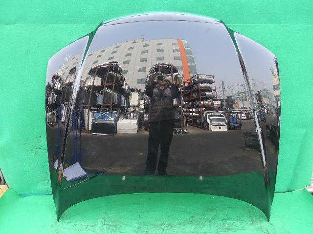 Bonnet  Hyundai Grandeur New Luxury