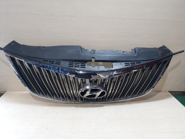 Radiator Grille  Hyundai Grandeur HG