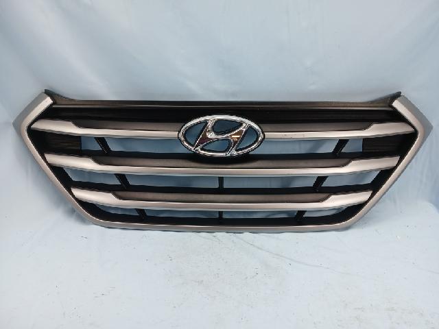Radiator Grille  Hyundai AllNewTucson