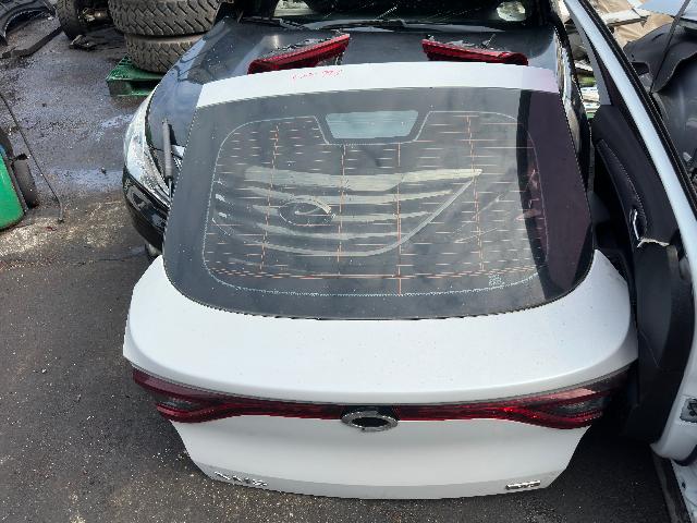 Back Door (lid)  Renault Samsung XM3